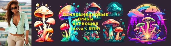 прущий лед Белокуриха