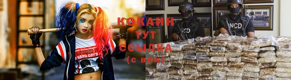 прущий лед Белокуриха