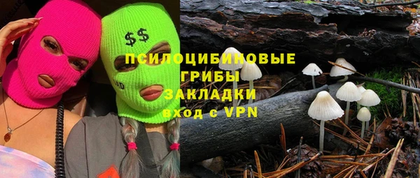 прущий лед Белокуриха