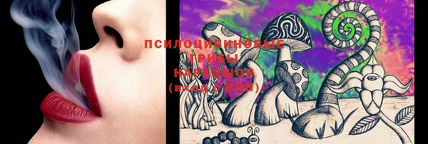 гидропоника Балабаново