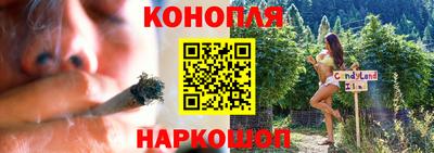 гашик Малгобек