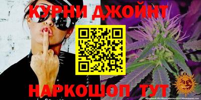 гашик Малгобек