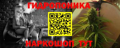 прущие грибы Моздок