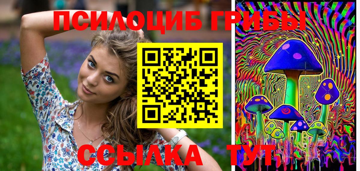Псилоцибиновые грибы прущие грибы Сердобск