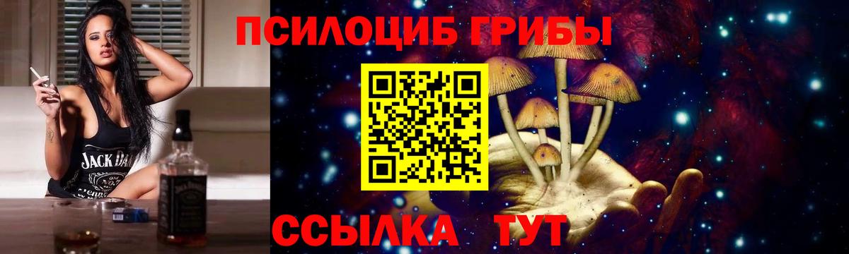 Сердобск  Галлюциногенные грибы Psilocybine cubensis  Вход с VPN  Псилоцибиновые грибы GOLDEN TEACHER 